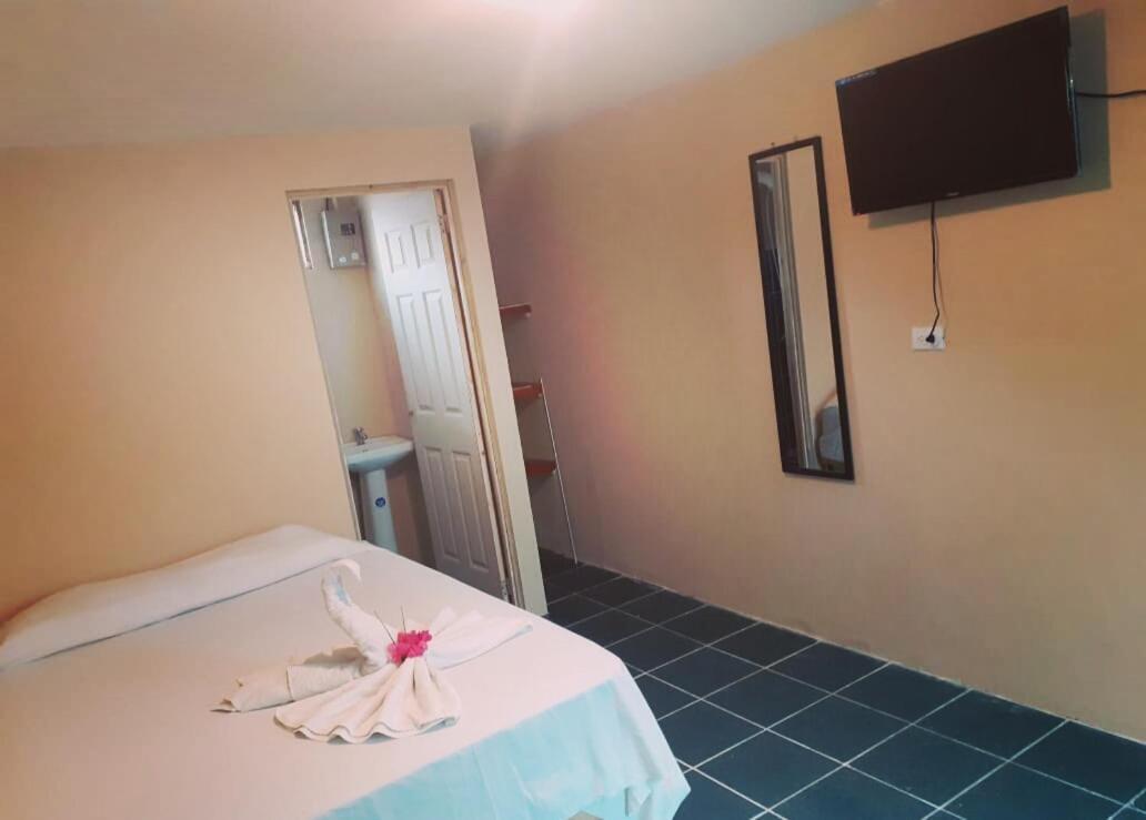 Habitacion Privada - Apartamentos Morpho Cr Quepos Zewnętrze zdjęcie